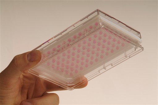 InSphero's GravityPLUS and GravityTRAP kit enables the rapid, easy formation and preparation of 3D microtissue spheroids for generating more physiologically relevant assay data. The addition of the GravityTRAP plate allows users to transfer microtissues from hanging drops to a 96 well plate specially designed for media changes and compound dosing as well as easy microscopic observation and biochemical assays.