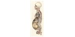 A sagittal section of the pregnant female body