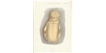 Fully developed fetus