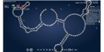 By switching each disc in the chain into one of four color-coded nucleotides, EteRNA players design RNA molecules, the best of which are synthesized in the lab.