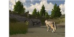 Downloaded by more than 500,000 people in 200 countries around the world, this game from the Minnesota Zoo allows players to learn about wolf behavior and ecology, while chatting with real wolf biologists. 