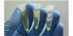 Centrifuged cells containing green fluorescent protein from a BOSSLAB experiment.