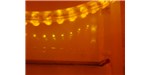 A fluorescent gel electrophoresis experiment showing separated DNA bands at right