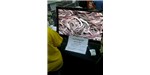 BioCurious' worm cam on display at the 2012 Maker Faire in San Mateo, California
