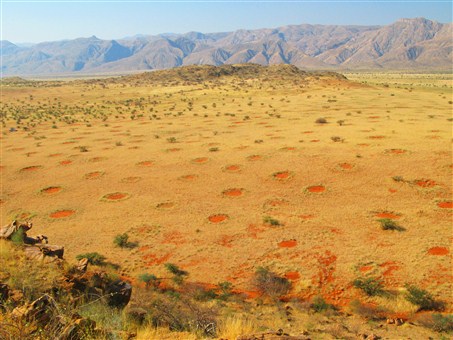 Fairy circles in a relatively wet environment in the Marienfluss Valley in Kaokoveld, Namibia. They appear to be holes in the grass.