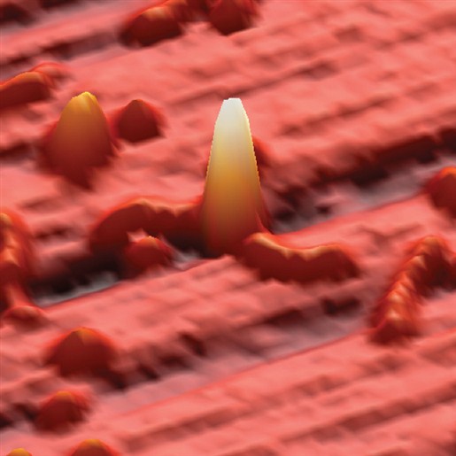 A 3-D representation of a bacterial type IIA topoisomerase (Topoisomerase IV ) bound to the junction of two 136 bp fragments of DNA that each have 4 bp complimentary overhangs on one end