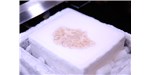 Annese’s team froze H.M.’s gelatin-encased brain and cut it into 2,401 one-millimeter-thick slices.