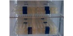 The team mounted individual slices on sequential slides and stored them in refrigerators.
