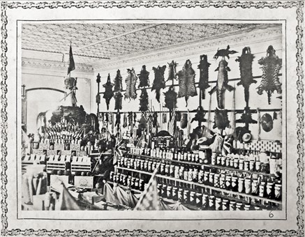 Amazonian stand in the international Fair Exposition of Brussels in 1911.