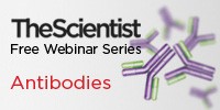image: Research Antibodies: What Customers Want