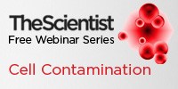 Pitfalls Associated with Cell Contamination, Misidentification and Authentication image: Pitfalls Associated with Cell Contamination, Misidentification and Authentication