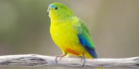 image: Conservation Will Cost $76 Billion