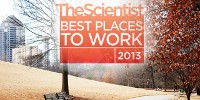 image: Rate Your Workplace Today!