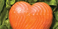 image: Omega-3s: Fishing for a Mechanism