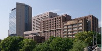 image: Discredited Stem Cell Researcher Fired