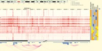image: A Guide to the Epigenome