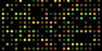 image: mRNA Not Equal in All Cells