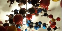 image: DNA for the Masses