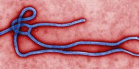 image: Detecting Biothreats, Faster and Cheaper