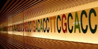 image: Biobank Yields Results