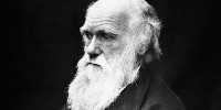 image: Charles Darwin for Congress