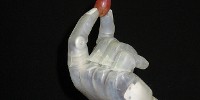 image: Self-Healing Electronic Skin