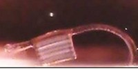image: Next Generation: Robotic Inchworm