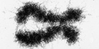 image: Architecture Reveals Genome’s Secrets