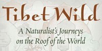image: Book Excerpt from Tibet Wild