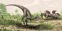 image: Evidence for Earliest Dino?