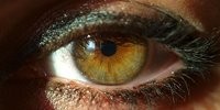 image: Detailing Color Vision