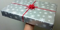 image: The Scientist’s 2012 Geeky Gift Guide