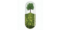 image: Fighting Microbes with Microbes