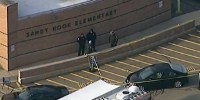 image: Genetic Clues in the Newtown Massacre
