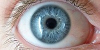 image: Bones Get in Her Eyes