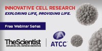 image: Innovative Cell Research