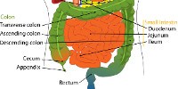 image: Dung Defeats Drugs