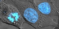 image: Double DNA