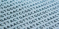 image: DNA-based Data Storage Here to Stay