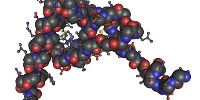 image: Human Proteome Project Update