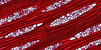image: Image of the Day: Red Mahogany