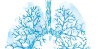 image: Icing Organs