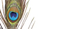 image: Color from Structure