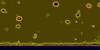 image: Next Generation: Nano-Imaging