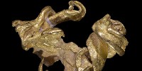 image: Microbial Metallurgy