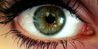 image: Robo-Eye to Enter US Market