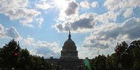 image: Opinion: From Polymerase to Politics