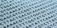 image: Genetic Privacy for Suspects?