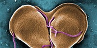 image: Image of the Day: Unwelcome Valentine
