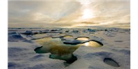 image: Sampling the New Arctic